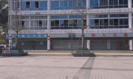 深圳龙华汽车站最新爆料,揭秘交通枢纽新变化与出行攻略