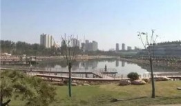 渭南南湖公园最新爆料,最新爆料揭秘公园新面貌